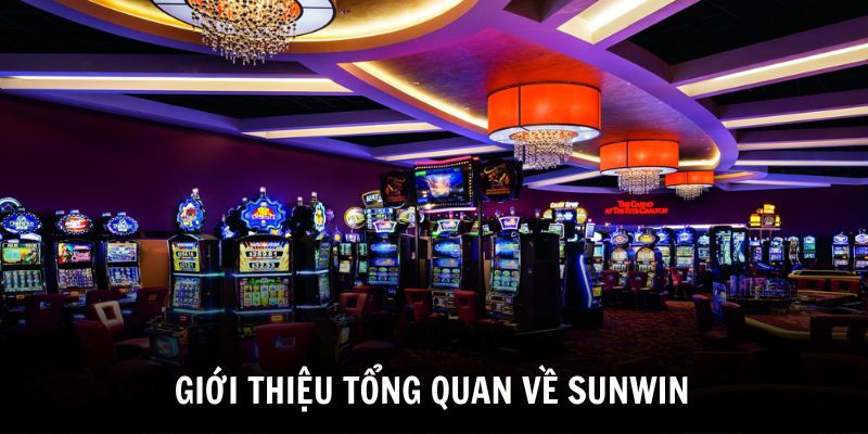 gioi-thieu-tong-quan-ve-nha-cai-sunwin