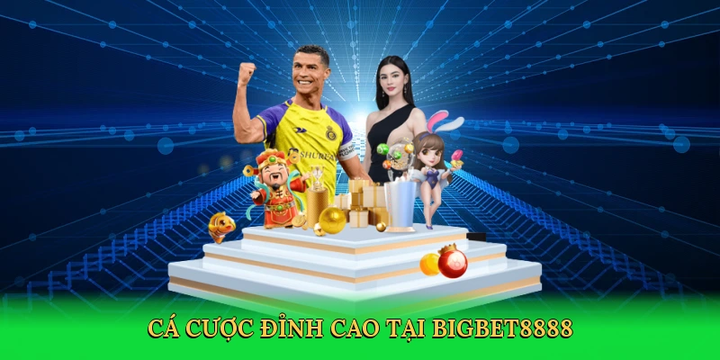 Cá cược đỉnh cao tại Bigbet88
