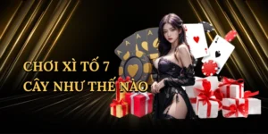 choi-xi-to-7-cay-nhu-the-nao-1