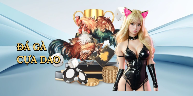 Đá gà cựa dao