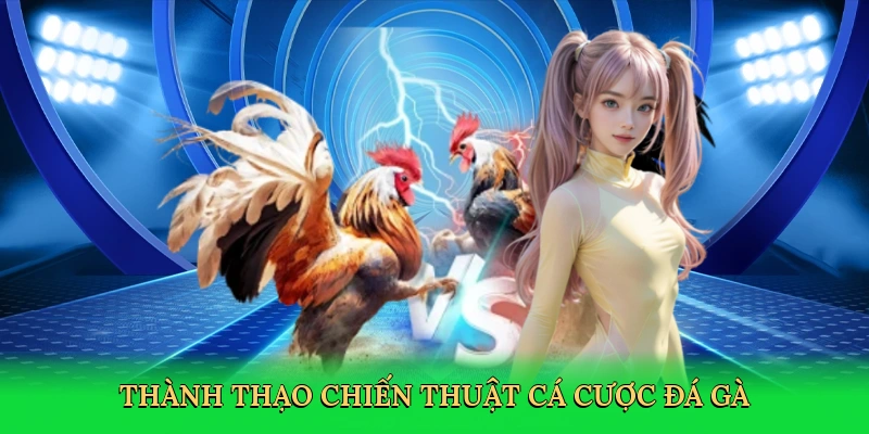 Thành thạo chiến thuật cá cược đá gà