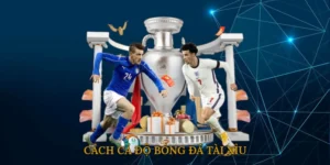 Cách cá độ bóng đá tài xỉu