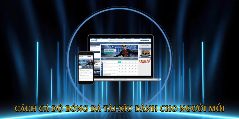 Cách Cá Độ Bóng Đá Tài Xỉu Dành Cho Người Mới