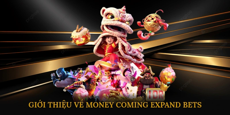 Giới Thiệu Về Money Coming Expand Bets